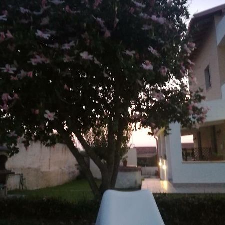 לינה וארוחת בוקר סירקוזה La Casa Delle Farfalle מראה חיצוני תמונה