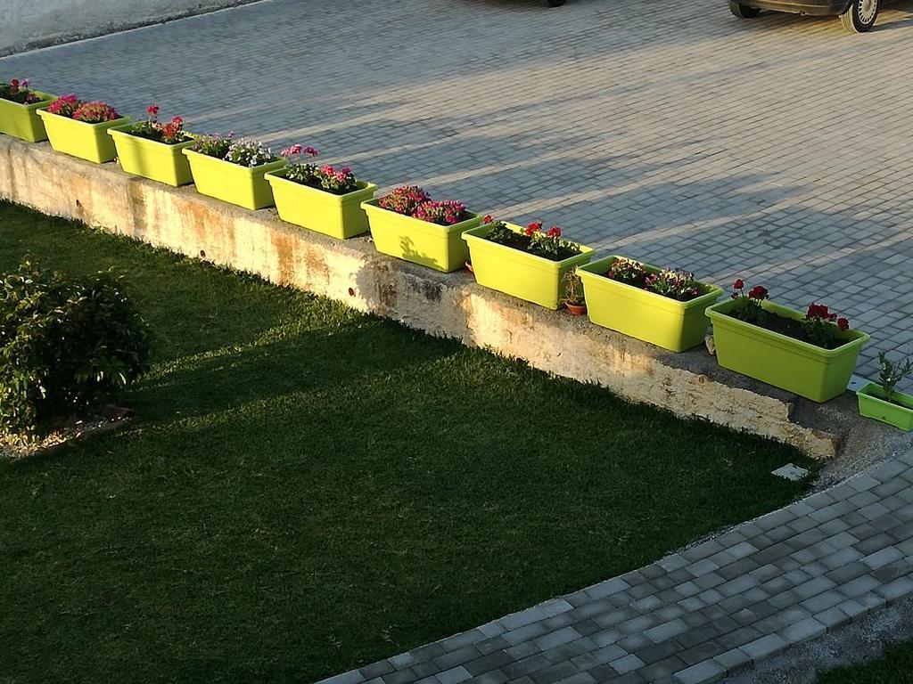 לינה וארוחת בוקר סירקוזה La Casa Delle Farfalle מראה חיצוני תמונה