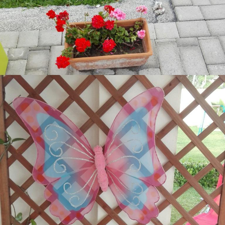 לינה וארוחת בוקר סירקוזה La Casa Delle Farfalle מראה חיצוני תמונה