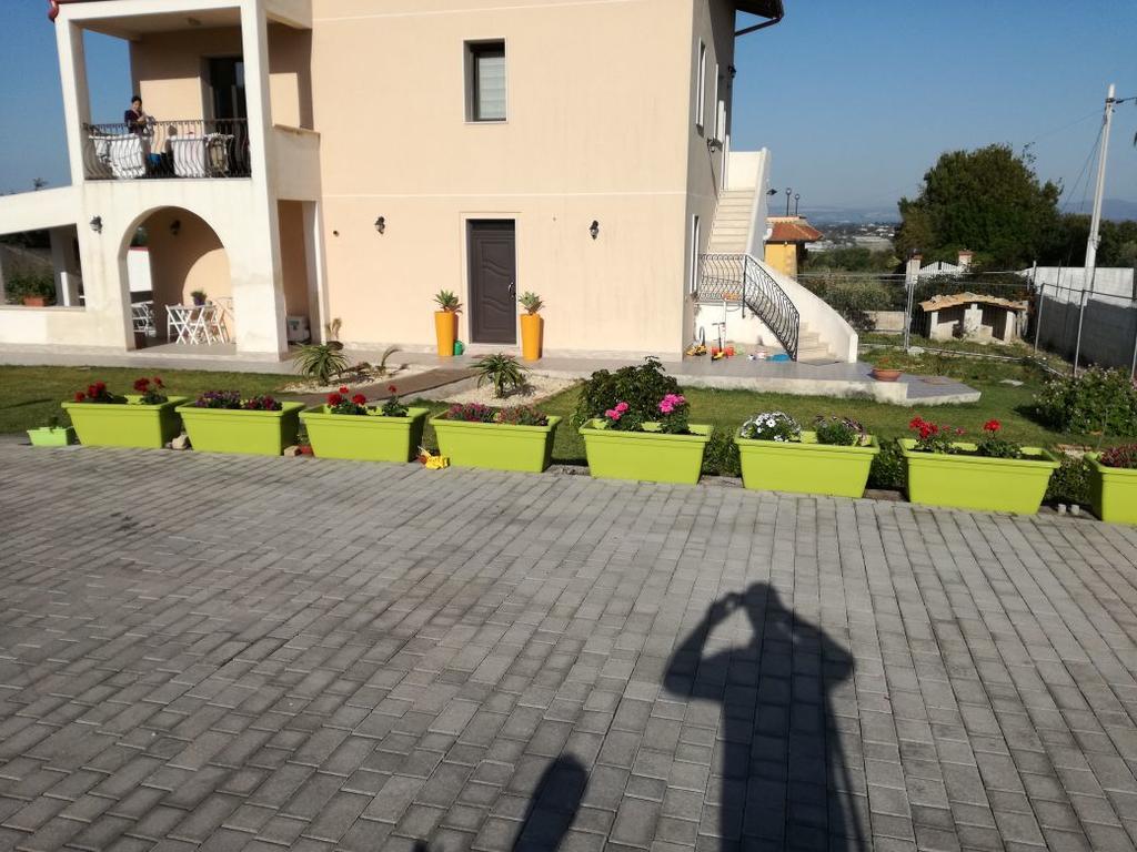 לינה וארוחת בוקר סירקוזה La Casa Delle Farfalle מראה חיצוני תמונה