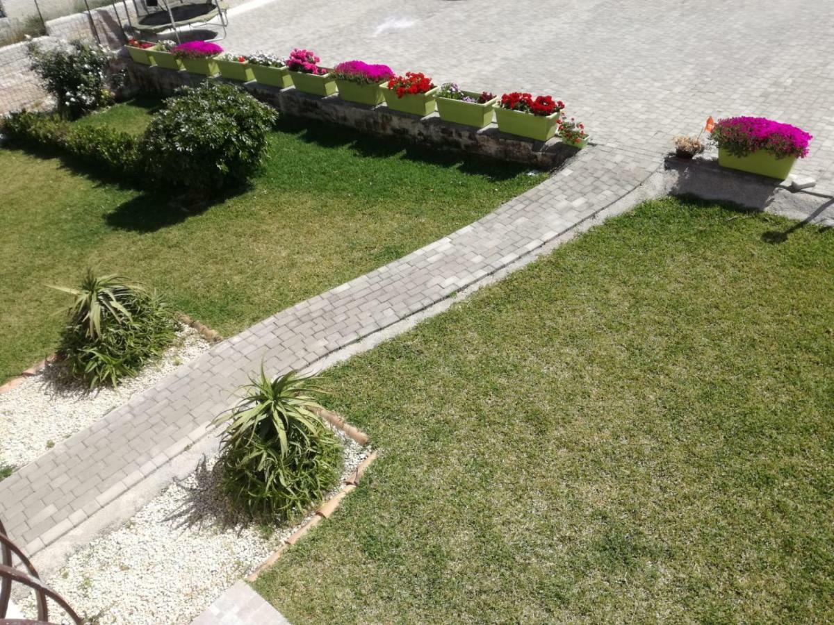 לינה וארוחת בוקר סירקוזה La Casa Delle Farfalle מראה חיצוני תמונה