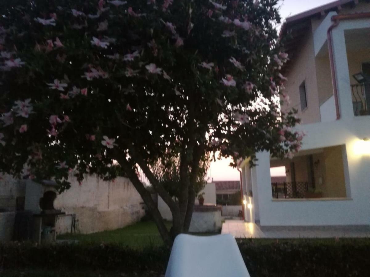 לינה וארוחת בוקר סירקוזה La Casa Delle Farfalle מראה חיצוני תמונה